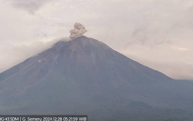 Semeru Beberapa Kali Erupsi dengan Tinggi Letusan hingga 700 Meter