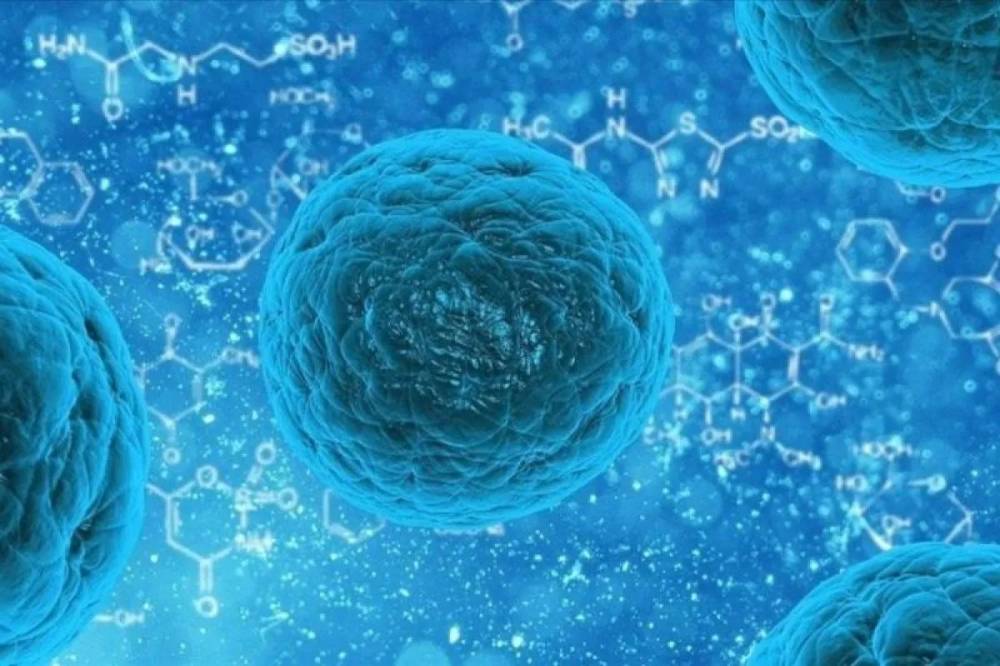 Media: Jumlah Kasus Norovirus Diperkirakan Meningkat di AS