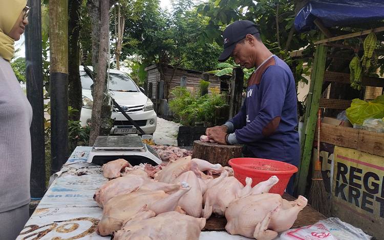 Jelang Tahun Baru, Harga Daging Ayam Ras Capai Rp45.000