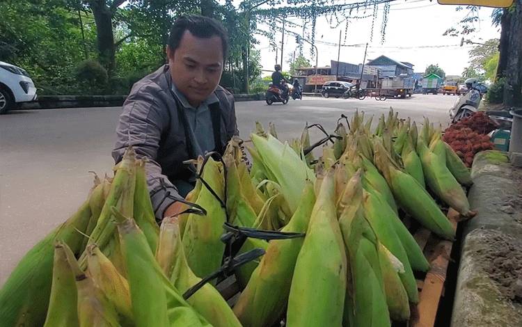 Tahun Baru Jadi Momen Panen Rezeki Bagi Penjual Jagung di Sampit