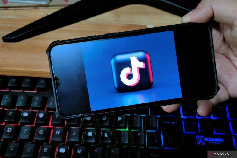 TikTok Jadi Platform Media Sosial Paling Populer pada Tahun 2024