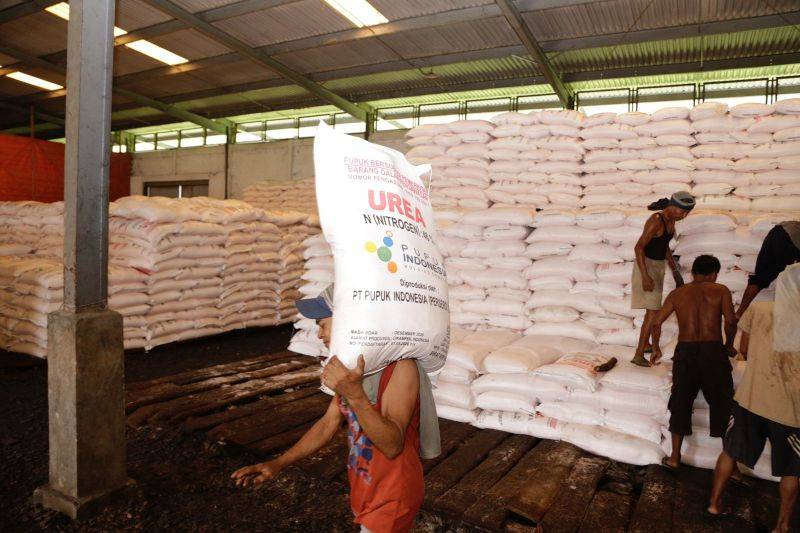 Pupuk Indonesia: 27.092 Petani Tebus Pupuk Bersubsidi per 3 Januari