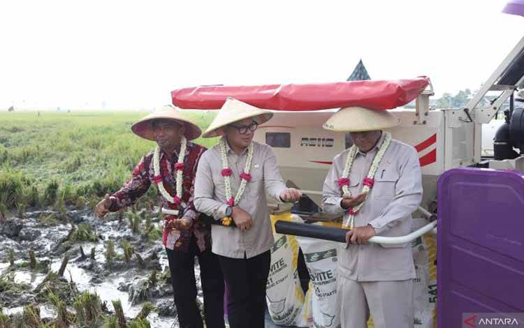 Wamendagri Optimistis Swasembada Pangan Dapat Terwujud