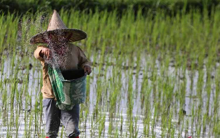Ekonom Sebut Butuh Produk Keuangan yang Sesuai untuk Kredit Pertanian