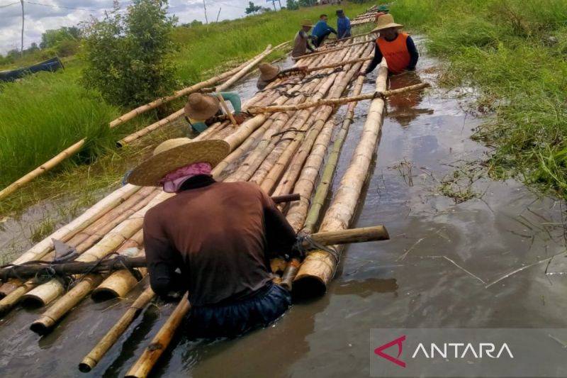 Desa Hiyung Gunakan Inovasi Baru Tanam Cabai Hiyung Sistem Apung