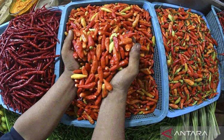 Harga Cabai Rawit Merah Hingga Ayam Ras Naik di Kobar per 8 September 2025