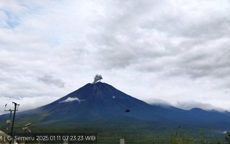 Gunung Semeru Kembali Erupsi dengan Letusan 600 Meter