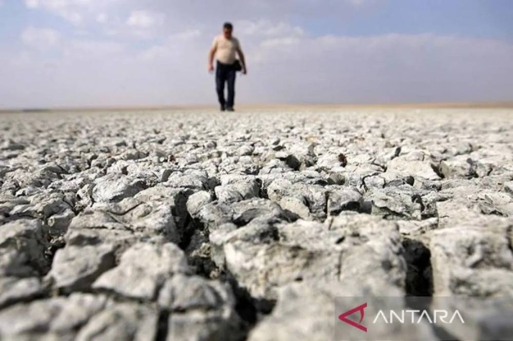Organisasi Meteorologi Dunia Konfirmasi 2024 Sebagai Tahun Terpanas