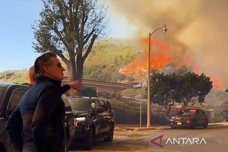 Pakar BRIN Sebut Kebakaran Hutan di LA Merupakan Fenomena Anomali