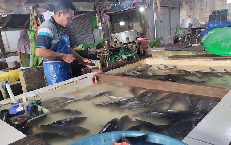 Pedagang ikan di Pasar Rajawali, Palangka Raya. (FOTO: TESTI PRISCILLA)