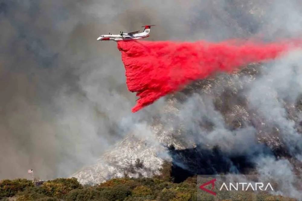 Korban Tewas Akibat Kebakaran Hutan Los Angeles Jadi 13 Orang