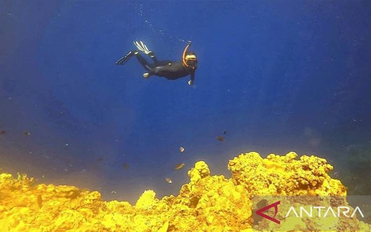 Oluhuta Paradise di Bone Bolango Tawarkan Keindahan Bawah Laut