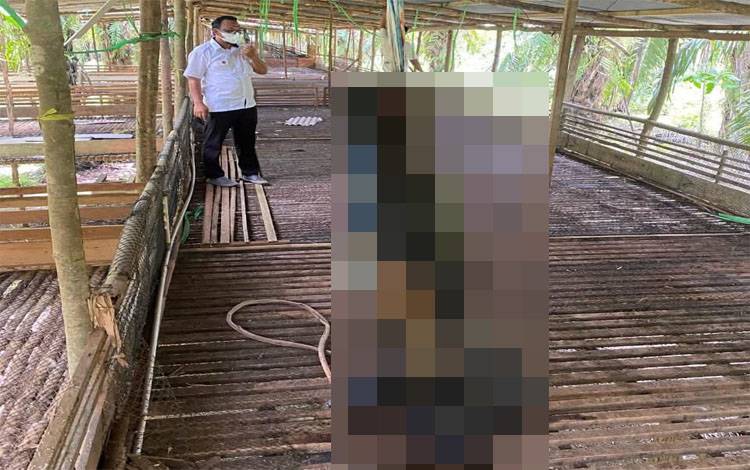 Warga Karang Mulya Geger, Ada Mayat Gantung Diri Membusuk di Kandang Ayam