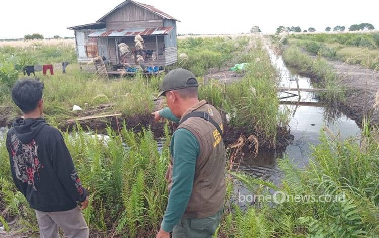 Detik-Detik 2 Warga Lampuyang Kotim Selamat dari Terkaman Buaya 4 Meter