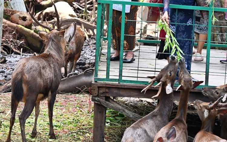 Berkunjung ke Hutan Kota Nyaru Menteng Berkah Masyarakat Patuhi Aturan