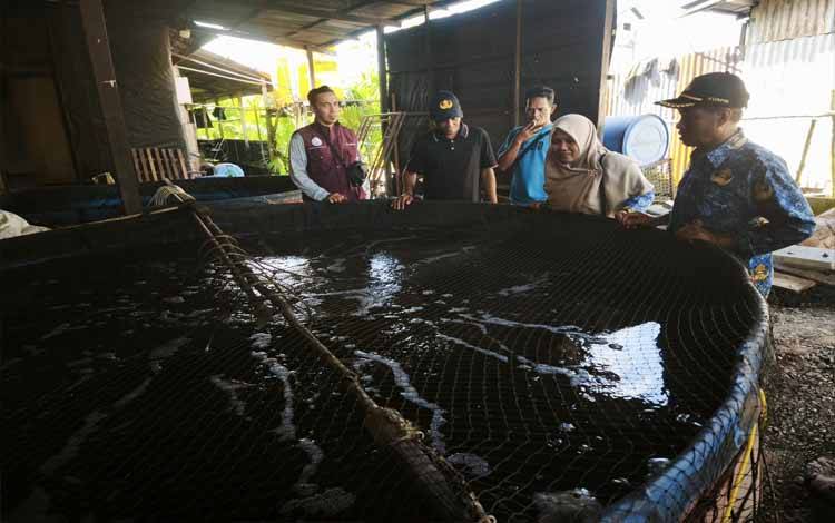 Kadis Perikanan Seruyan Hadiri Panen Ikan Sistem Bioflok di Desa Pematang Panjang