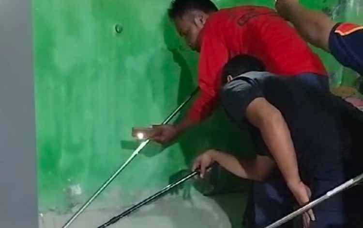 Tim Animal Rescue DPKP Seruyan Evakuasi Ular Kobra Masuk Rumai Warga