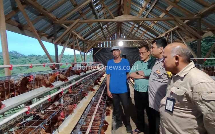 Satgas Penanganan Konflik Sosial Tinjau Usaha Ayam Petelur di Desa Mugi Penyuhu, Seruyan Tengah