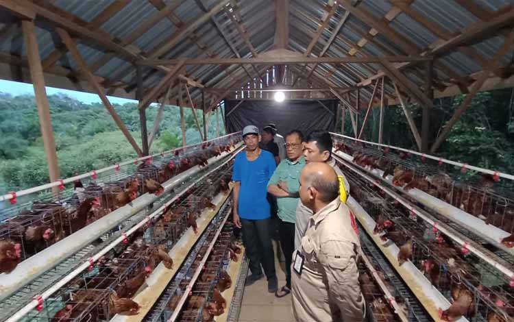 Usaha Ayam Petelur Dorong Pengembangan Ekonomi Desa
