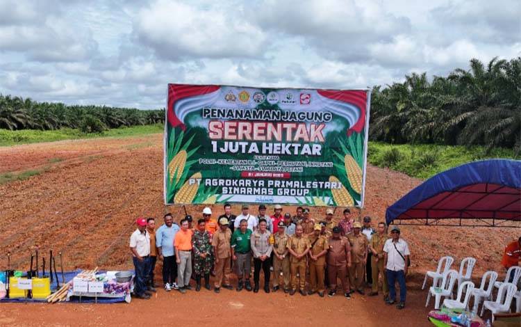 Kapolsek bersama Forkopimcam Mentaya Hulu melakukan penanaman jagung di Kecamatan Mentaya Hulu. (FOTO: IST)