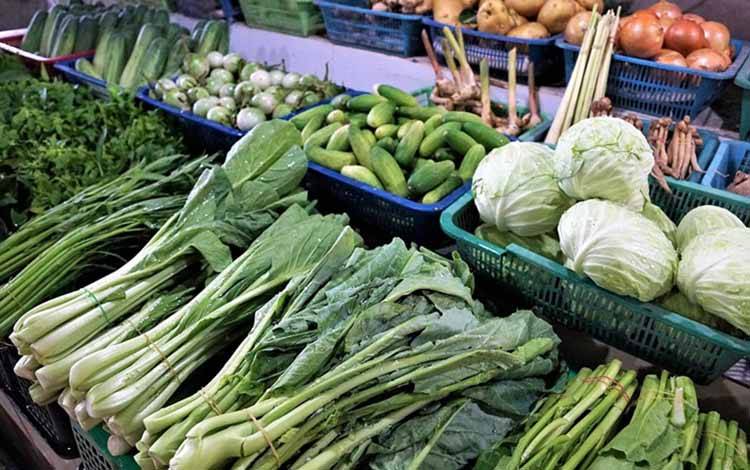 Program Makan Bergizi Gratis Buka Peluang BUMDes