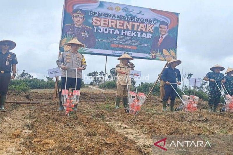 Gunung Mas Ditargetkan Tanam 31 Ribu Hektare Jagung