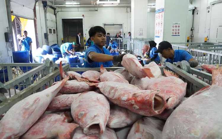 KKP Siapkan Sistem Informasi Cold Storage Perkuat Hilirisasi Perikanan