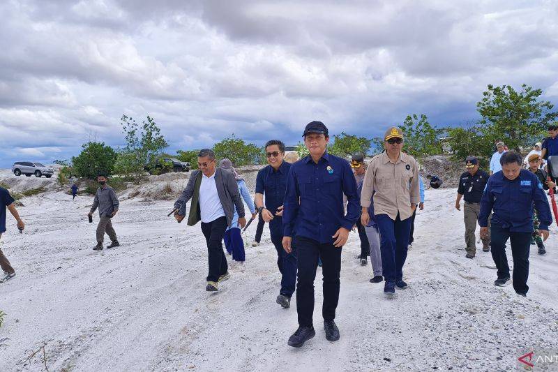 Menteri LH Selidiki 41 Ribu Hektare Lahan Rusak di Katingan