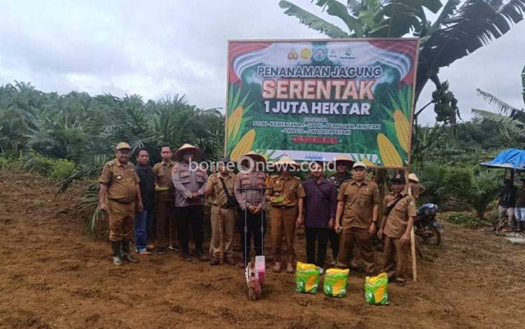 Kecamatan Telaga Antang Dukung Program Penanaman Jagung Sejuta Hektare