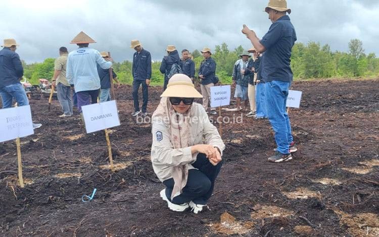 Lurah Kalampangan Ajak Generasi Muda Palangka Raya Jadi Petani