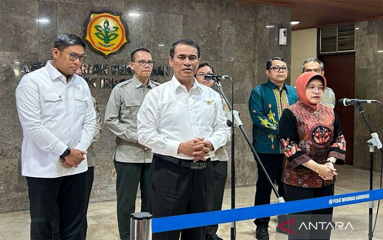 Mentan Sebut Produksi Padi Januari-Maret 2025 Naik 50 Persen