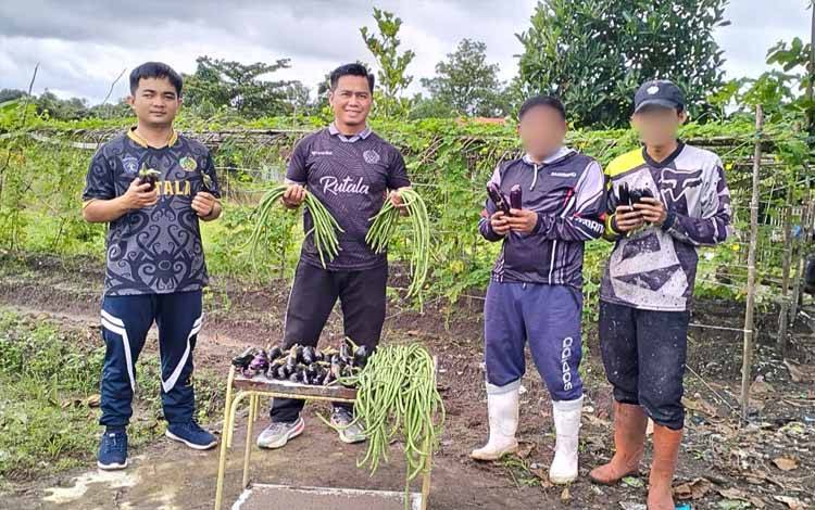 Warga Binaan dan Pegawai Rutan Tamiang Layang Panen Terong dan Kacang Panjang Hasil Kebun Luar