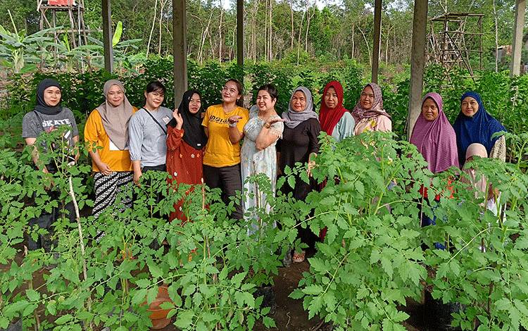 PKK Desa Matabu di Bartim Kembangkan Tanaman Sayuran untuk Kemandirian Pangan Keluarga