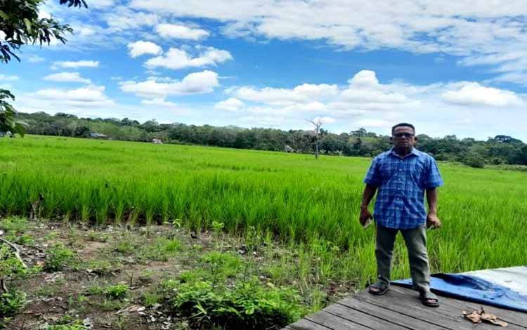 Pertanian Berkelanjutan Kunci Kesejahteraan Para Petani di Desa Bintang Ninggi II