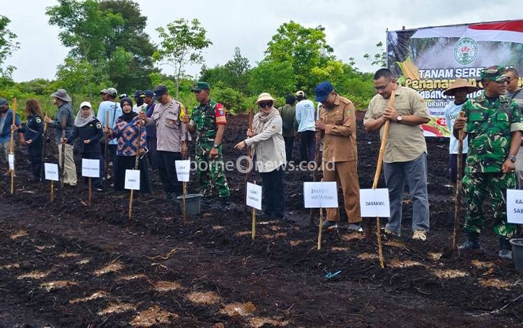 Lurah Kalampangan Harap Program Penanaman Satu Juta Hektar Jagung Bisa Berkelanjutan