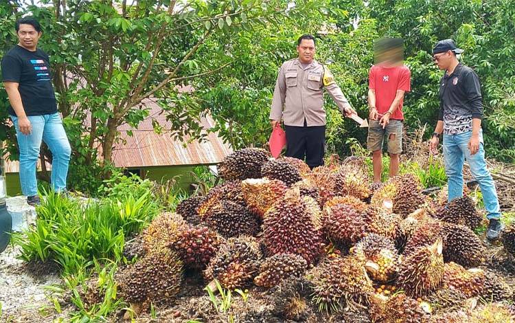 Curi Buah Sawit Milik Perusahaan, Pemuda di Kotim Ditangkap Polisi