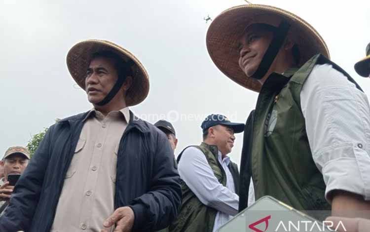 Menhut: Program Agroforestri Dukung Swasembada Pangan