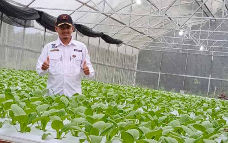 Sebagian Hasil Panen Hidroponik Screen House untuk Dukung Program Makanan Tambahan