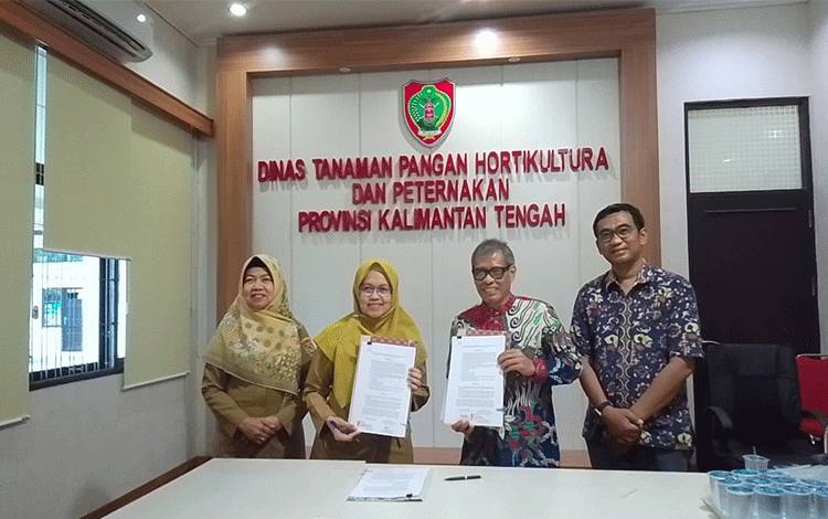 Program Cetak Sawah Kalteng Mulai Berprogress