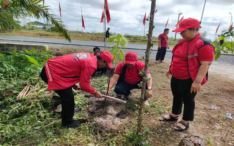 PDIP Kalteng Tanam Ratusan Pohon Rayakan HUT Ketua Umum