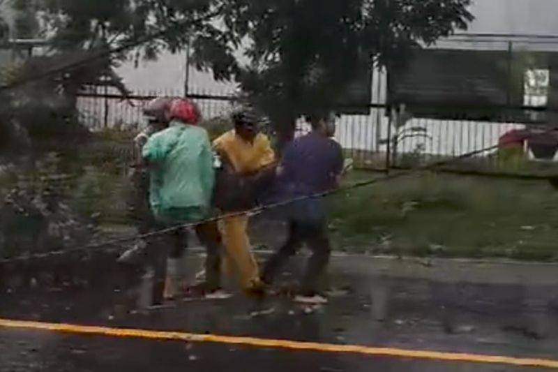 Seorang Anggota Polisi Tertimpa Pohon Tumbang