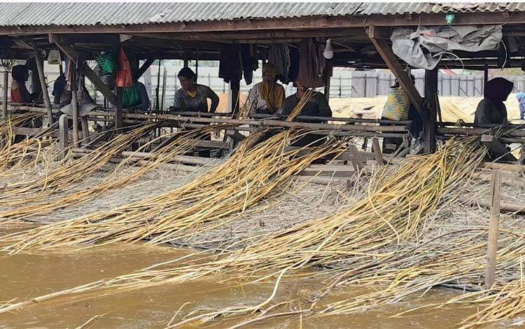 Minat Rendah Warga Jadi Penghambat Pengembangan Kerajinan Rotan di Kotim