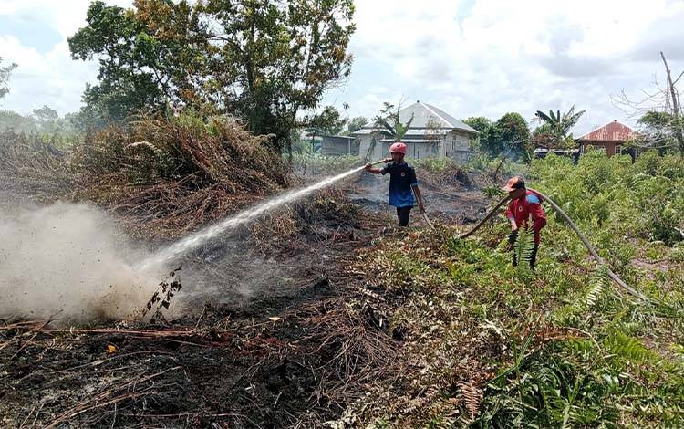 Karhutla Mulai Terjadi di Sampit, Lima Lokasi Terjadi Kebakaran dalam Sepekan