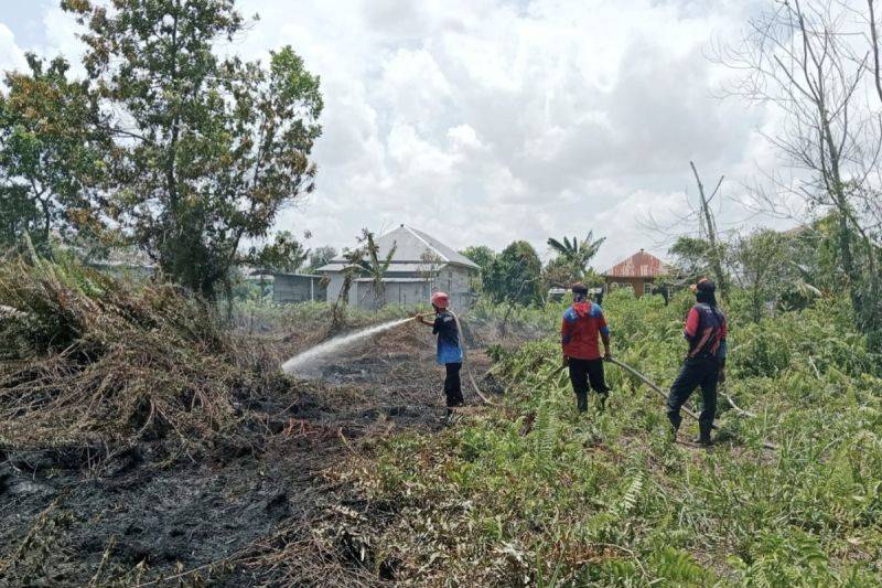 BPBD: Karhutla Mulai Terjadi di Kotim