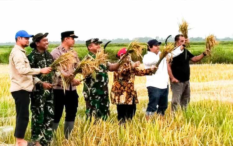 Panen Padi di Kalteng Bukti Implementasi Pertanian Modern