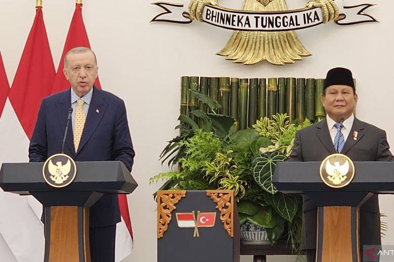 Persamaan Sejarah dan Visi untuk Palestina Perkuat Hubungan RI-Turki