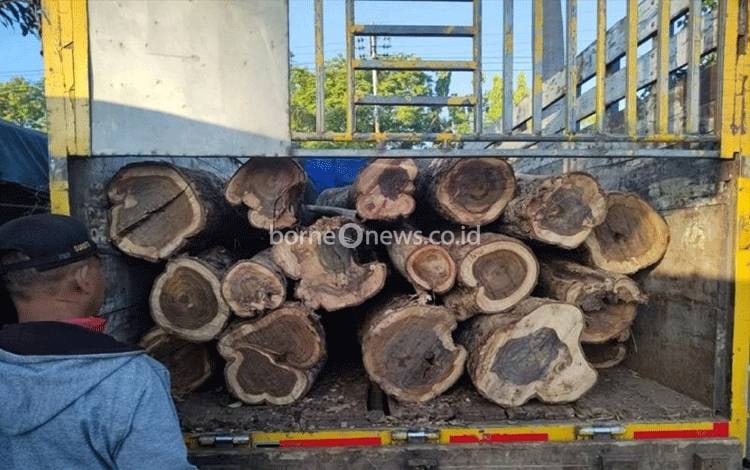 Polhut Amankan 11 Gelondong Kayu Hasil Pencurian di Hutan Jati