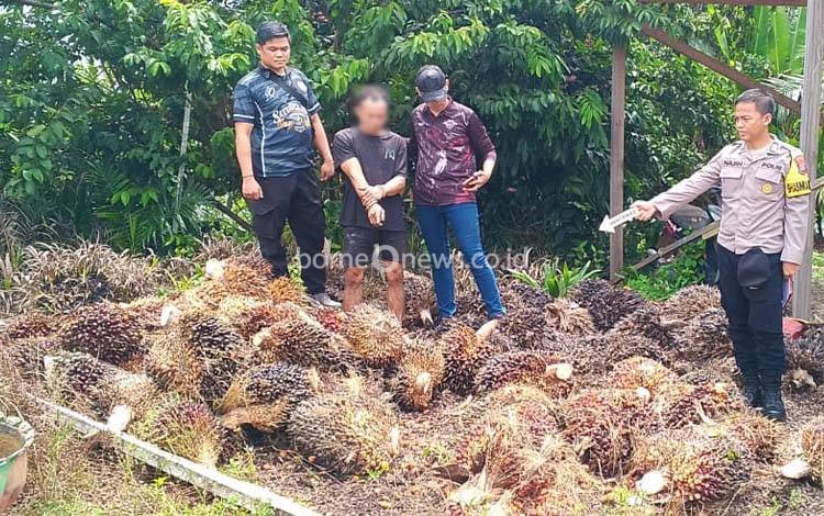 DPRD Kotim Prihatin Narkoba Jadi Penguat di Balik Aksi Penjarahan Sawit