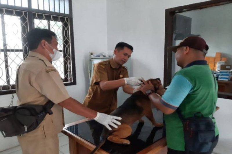 Pemkab Kobar Tingkatkan Layanan Kesehatan Hewan Peliharaan