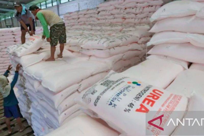 Pendistribusian Pupuk Subsidi Tepat Sasaran Perkuat Ketahanan Pangan